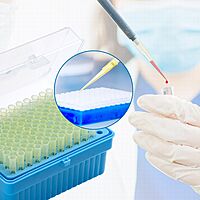200μl Universal Pipette Tips, PP, Racked, Sterile, DNase & RNase free, Yellow