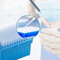 1000μl Extended Long Universal Pipette Tips, 89mm Longer Tip, PP, Racked, Sterile, DNase & RNase free, Clear