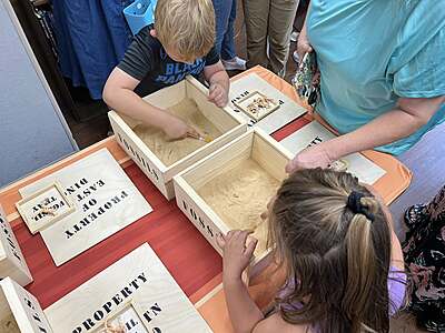 Dinosaur Program Package Dinosaur Program Package