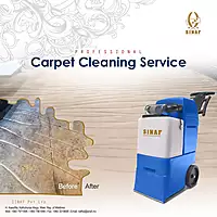 Professional Carpet Cleaning Service