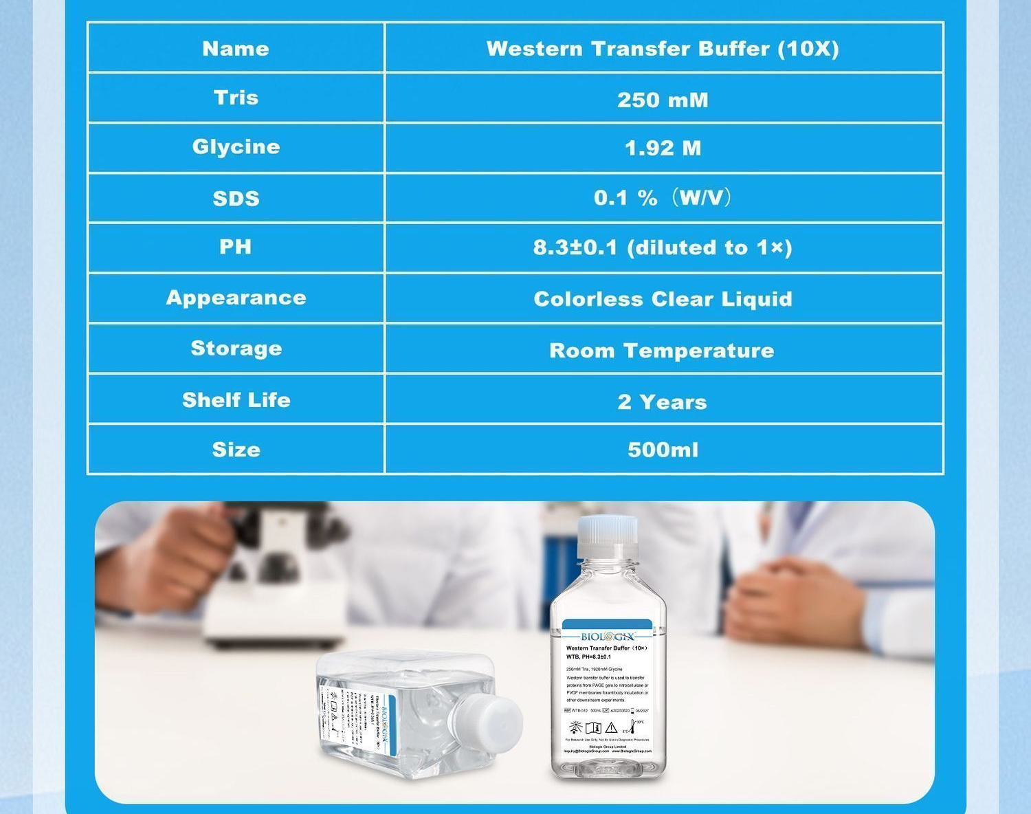 Western Transfer Buffer (10x) 500mL