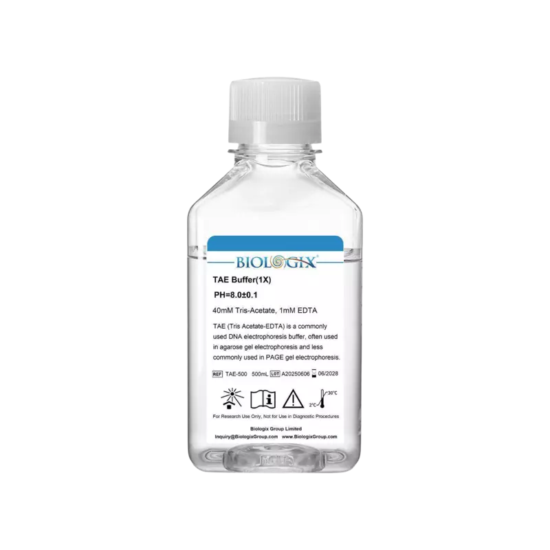 TAE Buffer (1x) 500mL