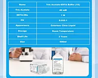 TAE Buffer (1x) 500mL