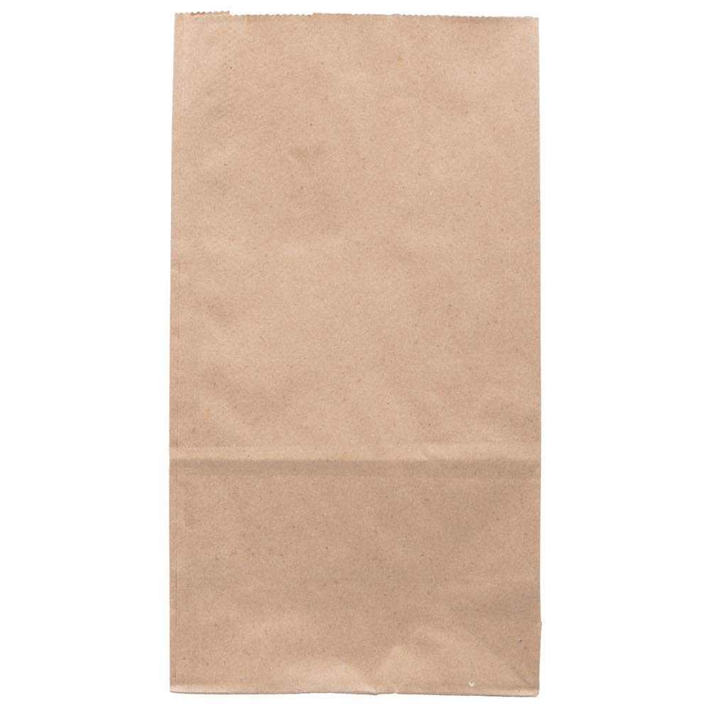 JAM PAPER 100% Recycled Kraft Snack/Lunch Bags - 25/Pack