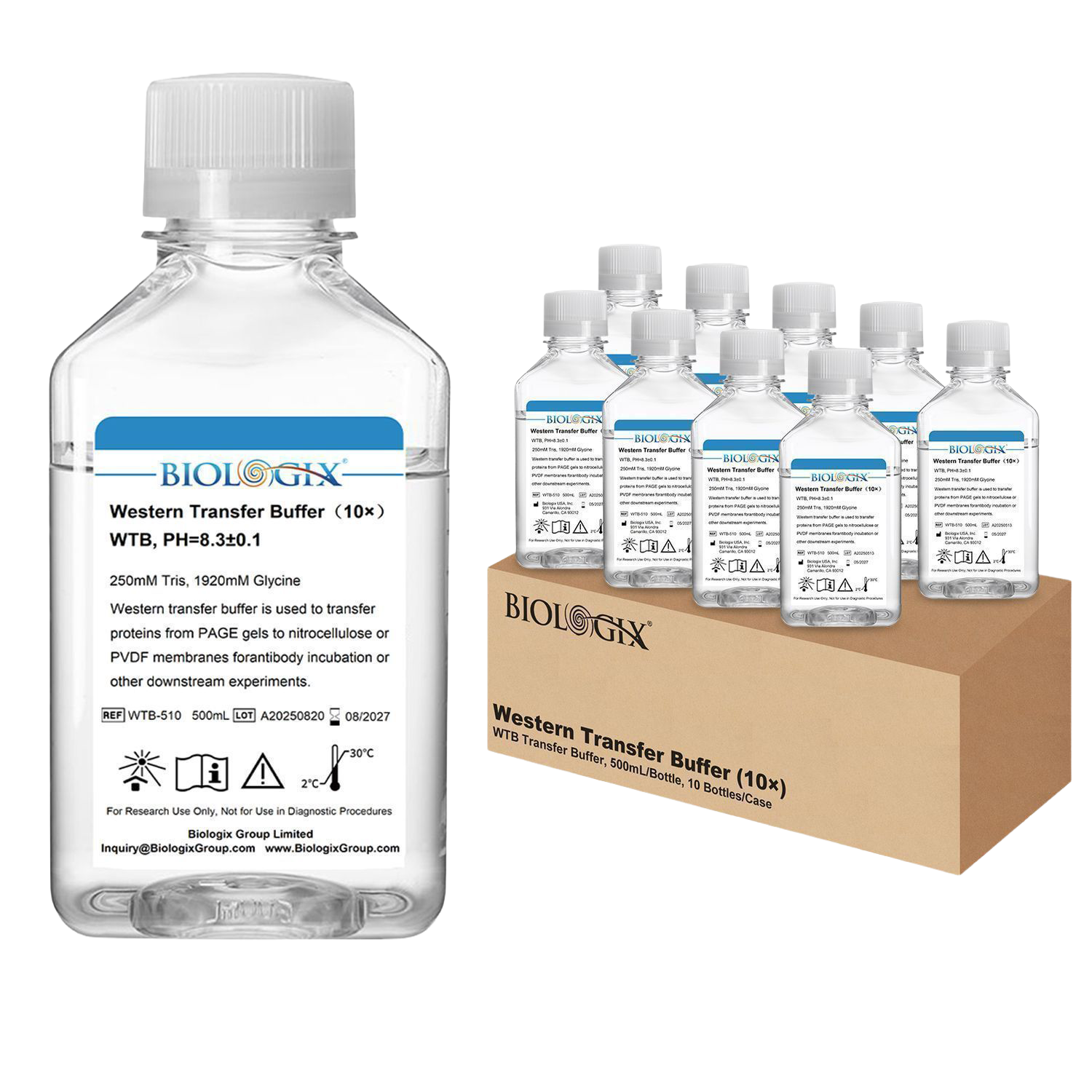 Western Transfer Buffer (10x) 500mL