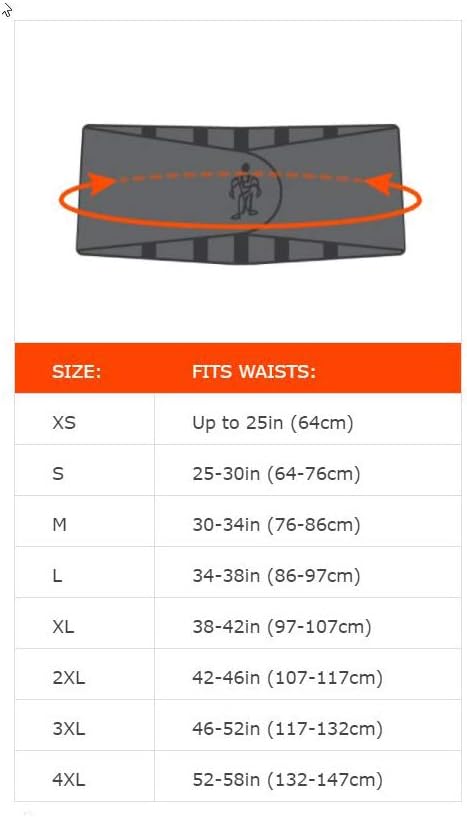 Ergodyne ProFlex 1500 Weight Lifters-Style Back Support Belt