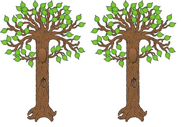 Carson Dellosa 64 pc Tree Bulletin Board Set, Tree Wall Decor and Leaf Cutouts for Classroom Decor, Fall Bulletin Board Decorations, Family Tree, Daycare, and Sunday School Decorations for Classroom