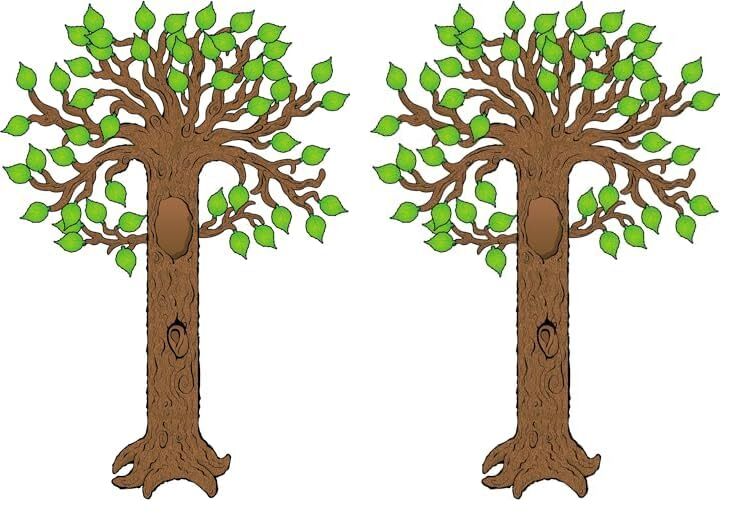 Carson Dellosa 64 pc Tree Bulletin Board Set, Tree Wall Decor and Leaf Cutouts for Classroom Decor, Fall Bulletin Board Decorations, Family Tree, Daycare, and Sunday School Decorations for Classroom