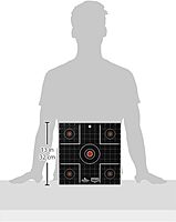 BIRCHWOOD CASEY Dirty Bird Sight-In Splattering Targets