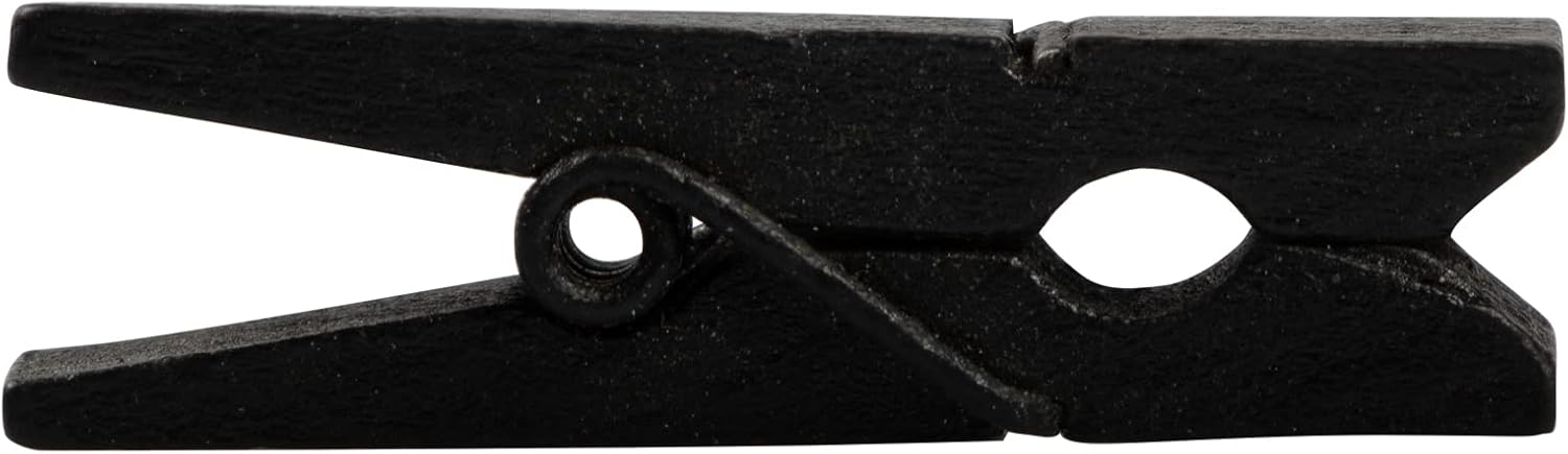 JAM PAPER Mailing Labels & Wood Clothing Pin Clips