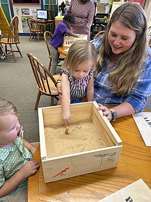 Fossil Box Set Fossil Box Set