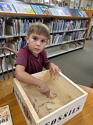 Fossil Box Set Fossil Box Set