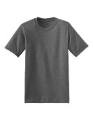 5170 PLAYERA CABALLERO MC HANES ECOSMART