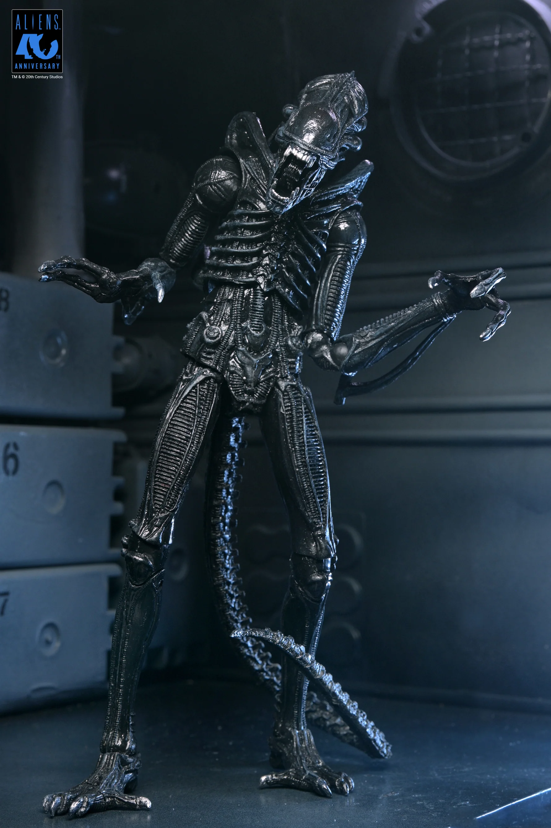 Alien Warrior Black 40th Aniversario
