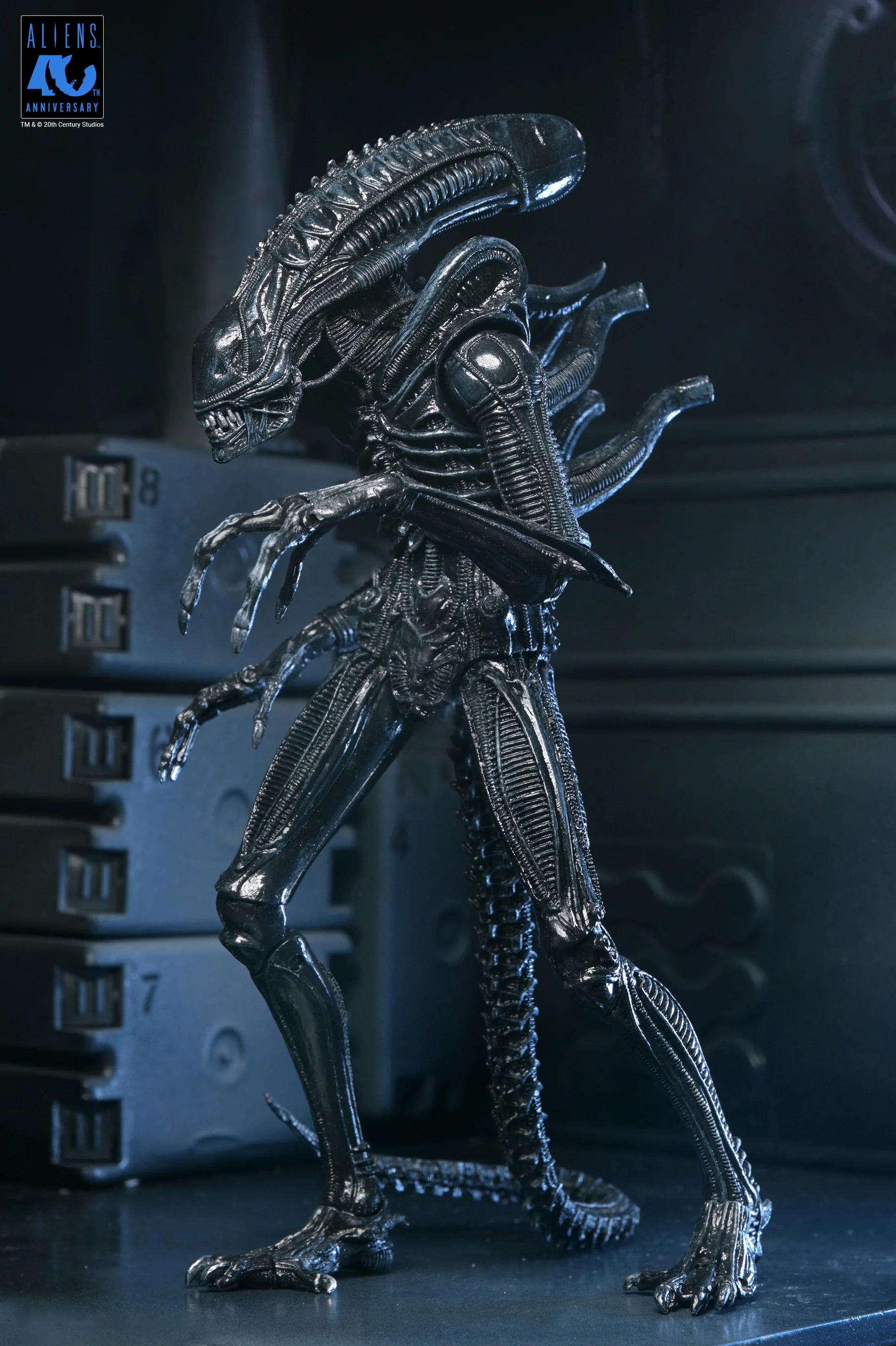 Alien Warrior Black 40th Aniversario