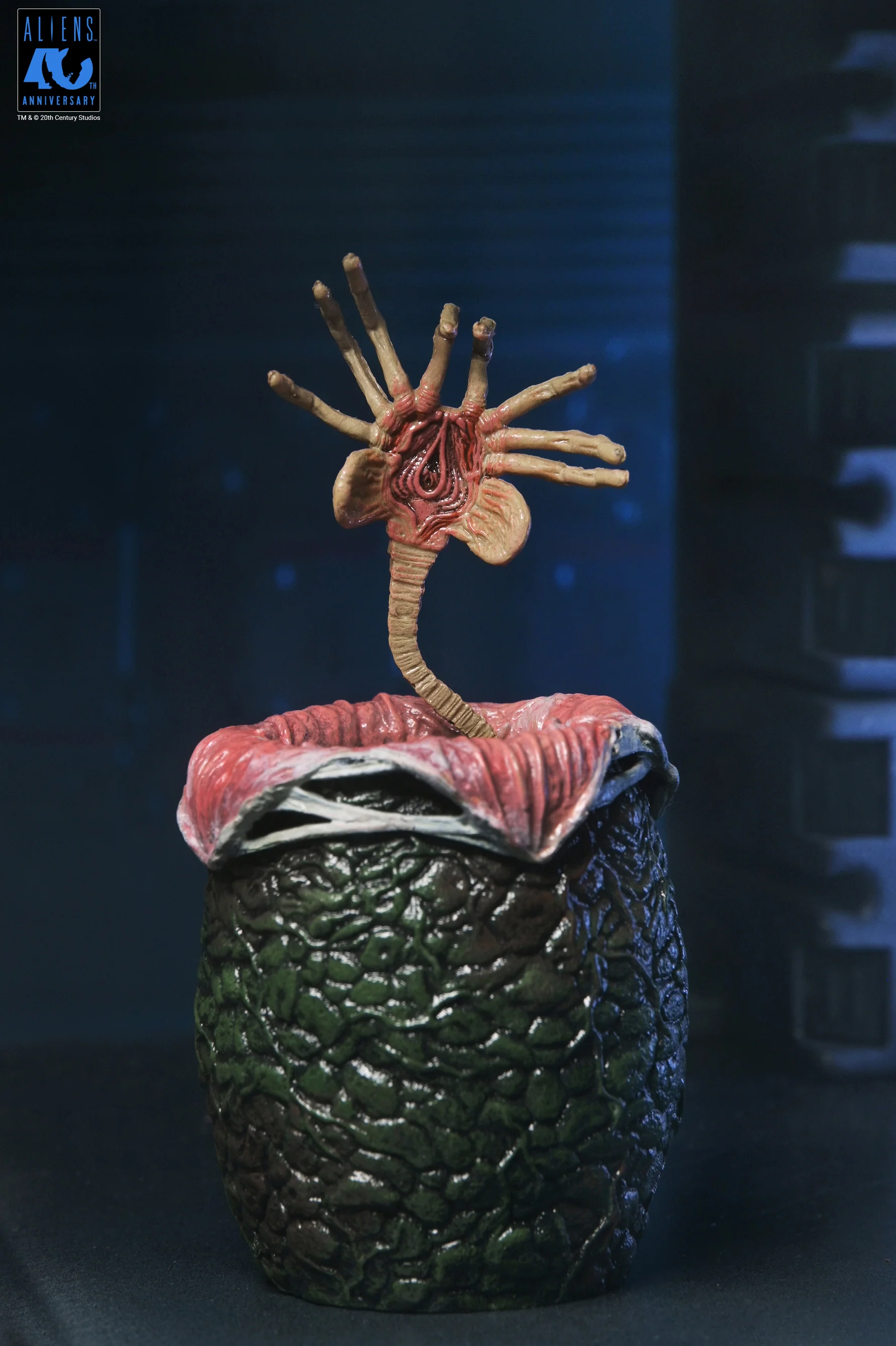 Alien Warrior Black 40th Aniversario