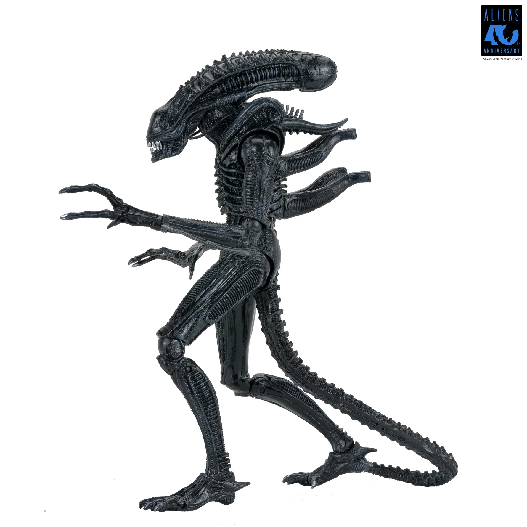 Alien Warrior Black 40th Aniversario