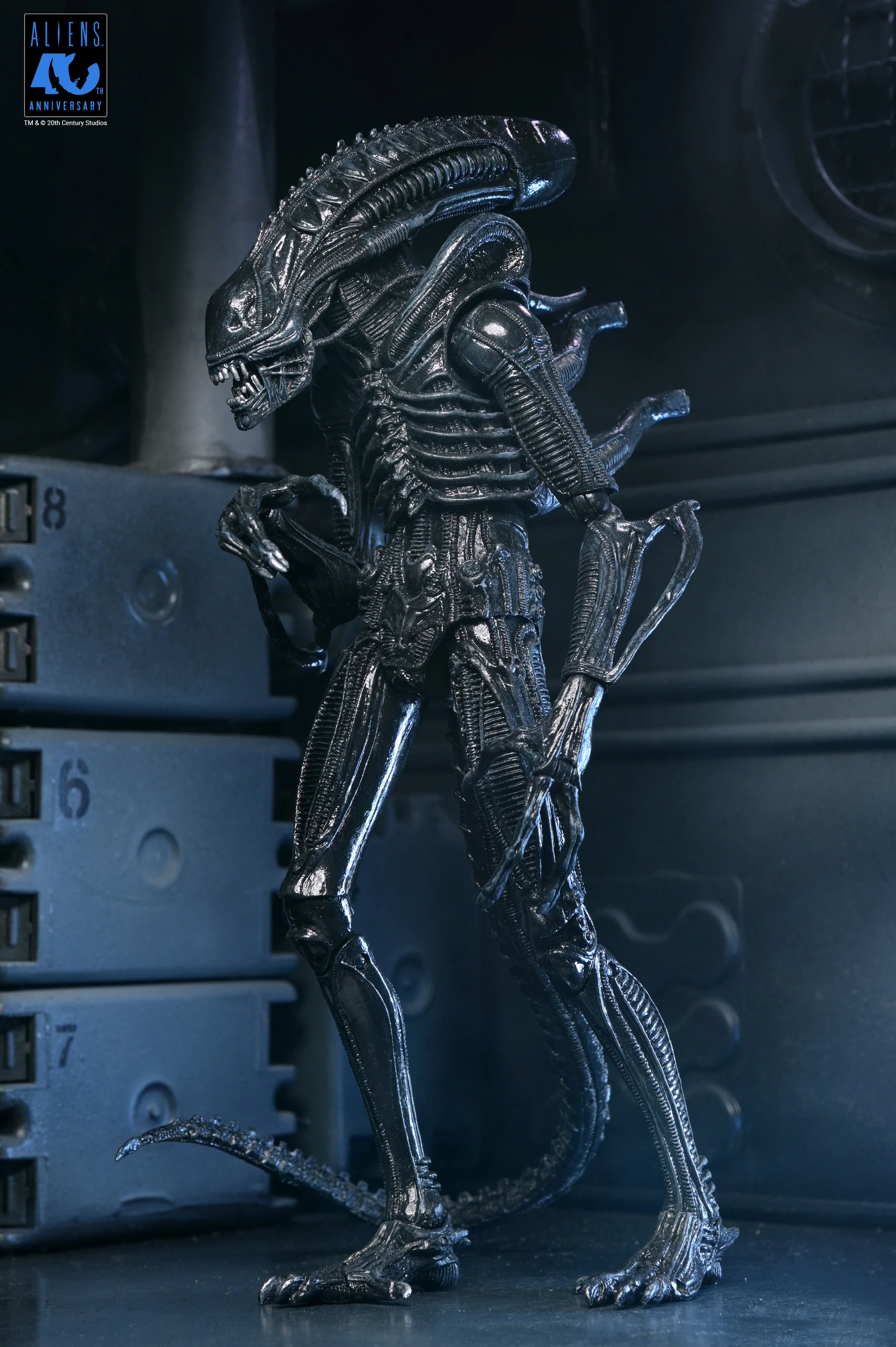 Alien Warrior Black 40th Aniversario