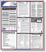 State Labor Law Posters, Texas - Spanish (E10TXS)