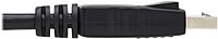 Tripp Lite DisplayPort to DisplayPort Cable with Latches (M/M)