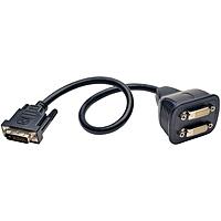 Tripp Lite DVI Y Splitter Cable, Digital Monitors (DVI-D M to 2x F), 1-ft. (P564-001)