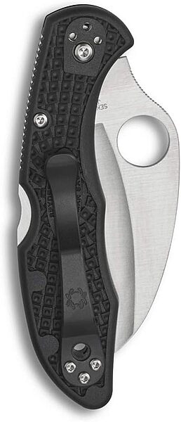 Spyderco Tasman Salt 2 Lightweight Folding Knife