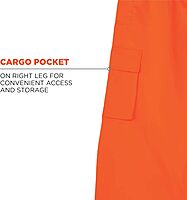 Ergodyne GloWear 8915 Class E Hi-Vis Rain Pants, Medium, Lime