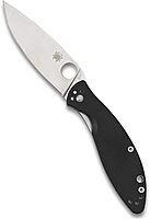 Spyderco Astute Value Knife with 3.02" Stainless Steel Blade and Durable Black G-10 - PlainEdge - C252GP