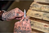 GERBER Paraframe Mini Stainless Steel Folding Pocket Knife