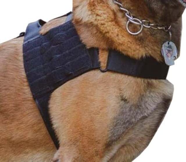 VOODOO TACTICAL Alpha Duty Harness