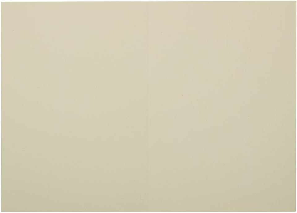 JAM PAPER Blank Fold-Over Cards 65-lb Smooth Cardstock 100/Pack