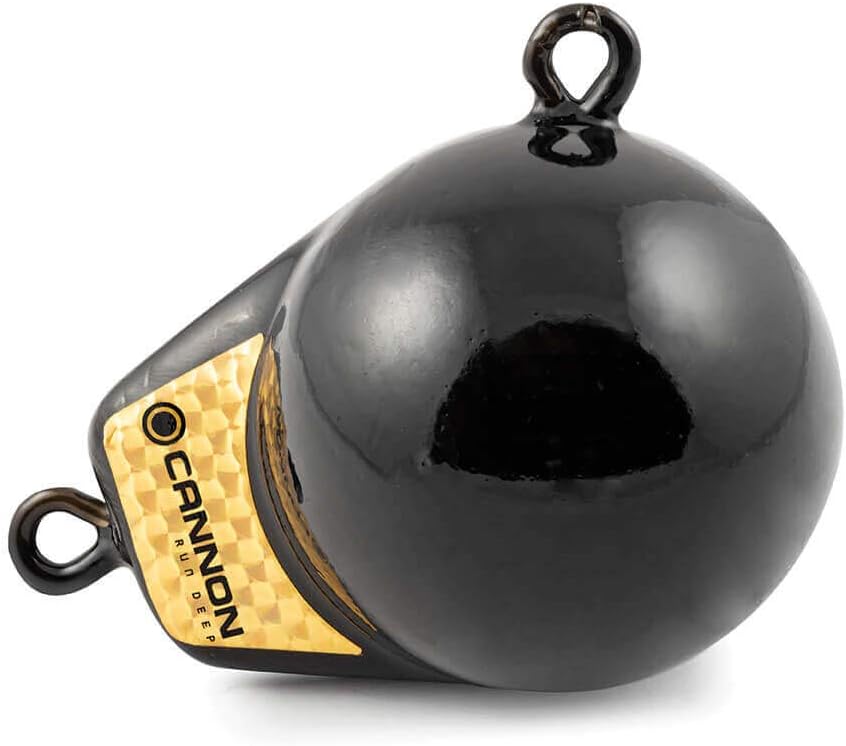 Cannon 2295180 Flash Weight, 6-Pound , Black with Gold Prism
