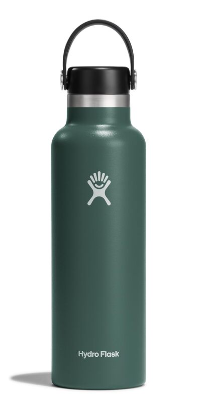 HYDRO FLASK Standard Mouth Insulated Stainless Steel Water Bottle with Flex Cap