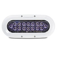 Ocean LED X-Series X16 - Midnight Blue LEDs