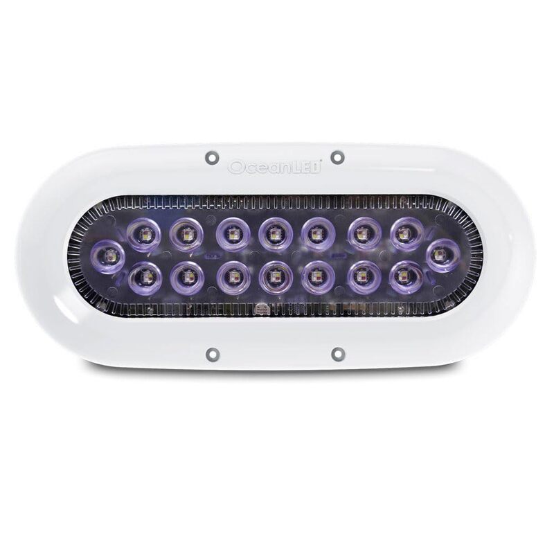Ocean LED X-Series X16 - Midnight Blue LEDs