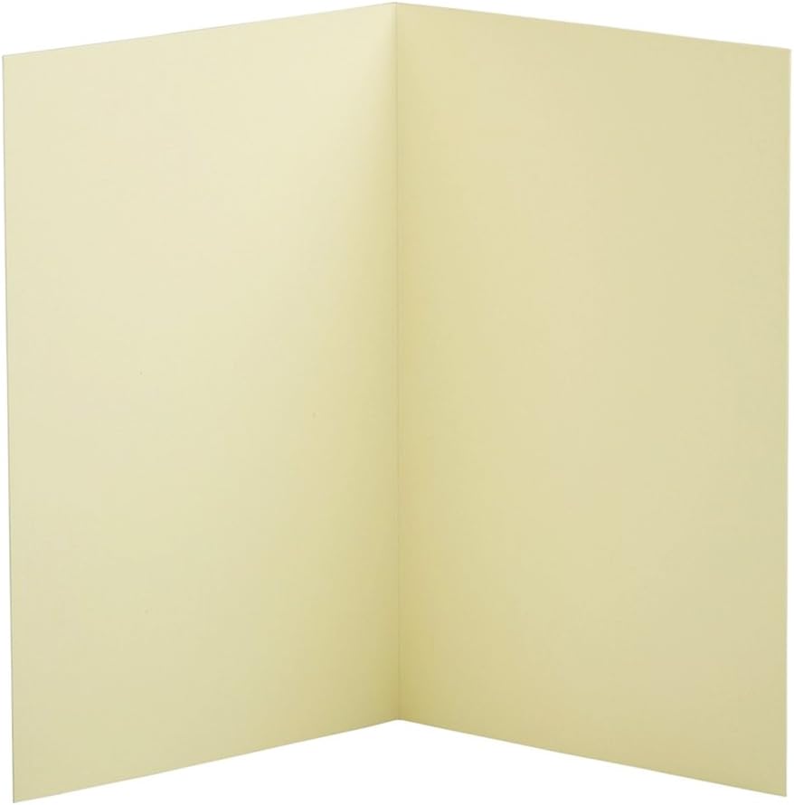 JAM PAPER Blank Fold-Over Cards 65-lb Smooth Cardstock 100/Pack