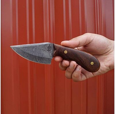 BucknBear Custom Handmade Damascus Fixed Blade Skinner Knife (Walnut Wood)