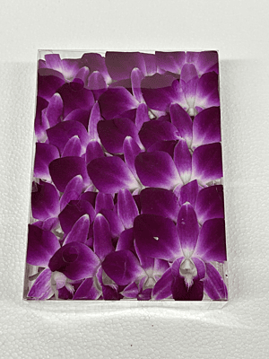 FLOWER ORCHID (THAILAND)