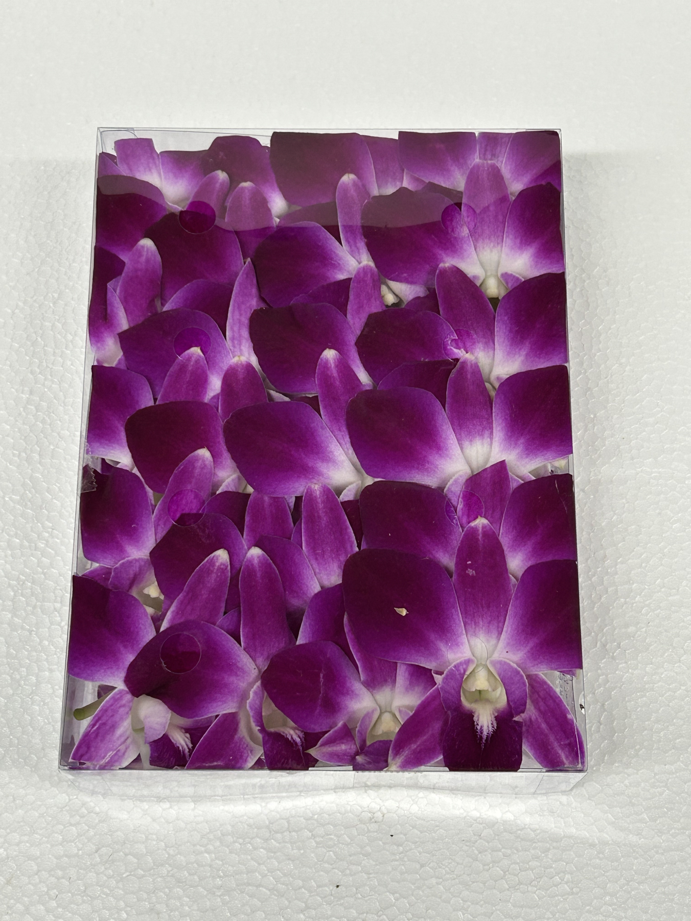 FLOWER ORCHID (THAILAND)