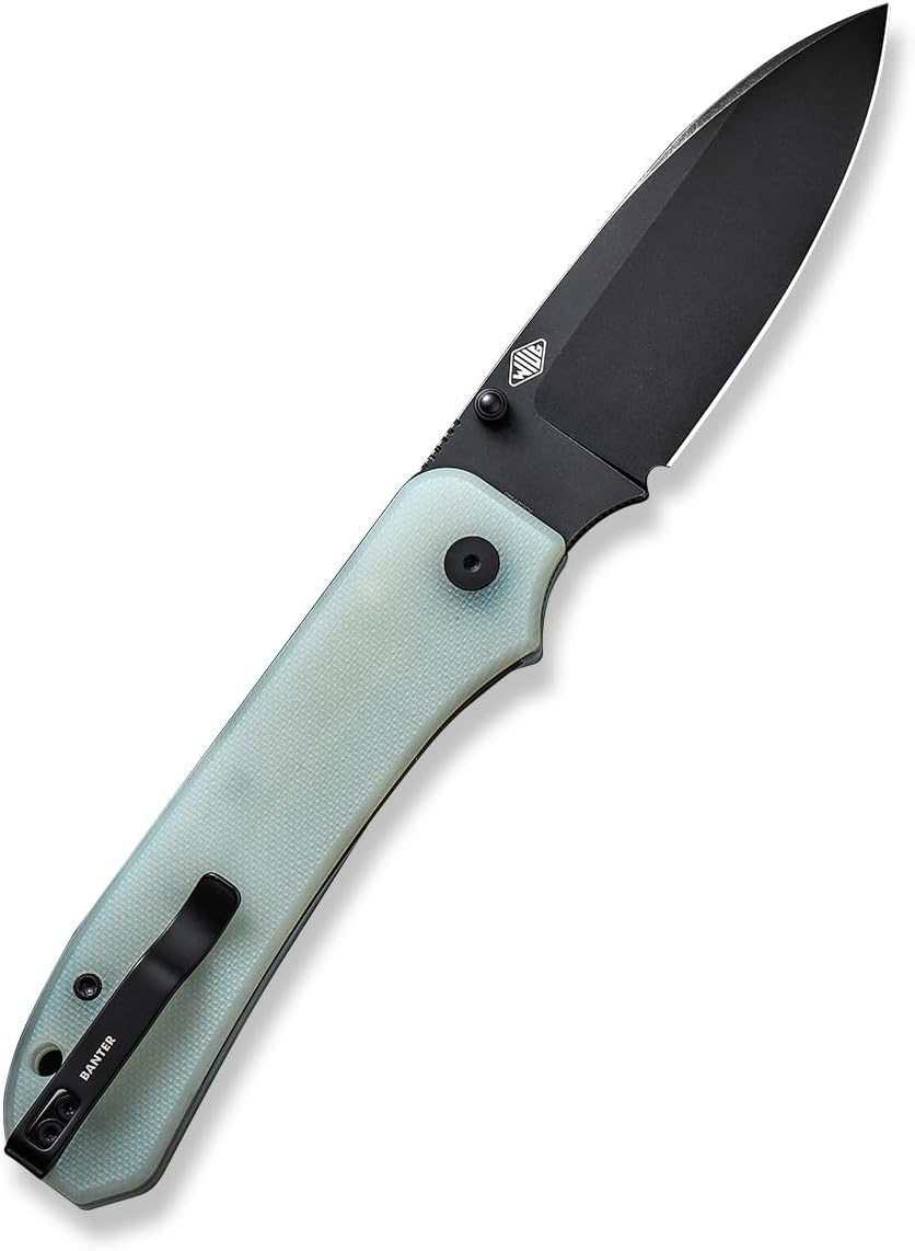 WE Knife Folding Pocket Knife CPM-20CV Black Stonewash Blade