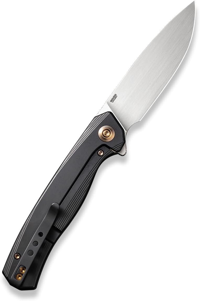 We Knife WE200151: Seer Framelock Le Black
