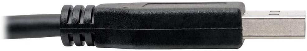 Tripp Lite USB 3.1 USB-C to USB-A Cable