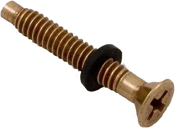 PILOT SCREW PENTAIR LIGHT