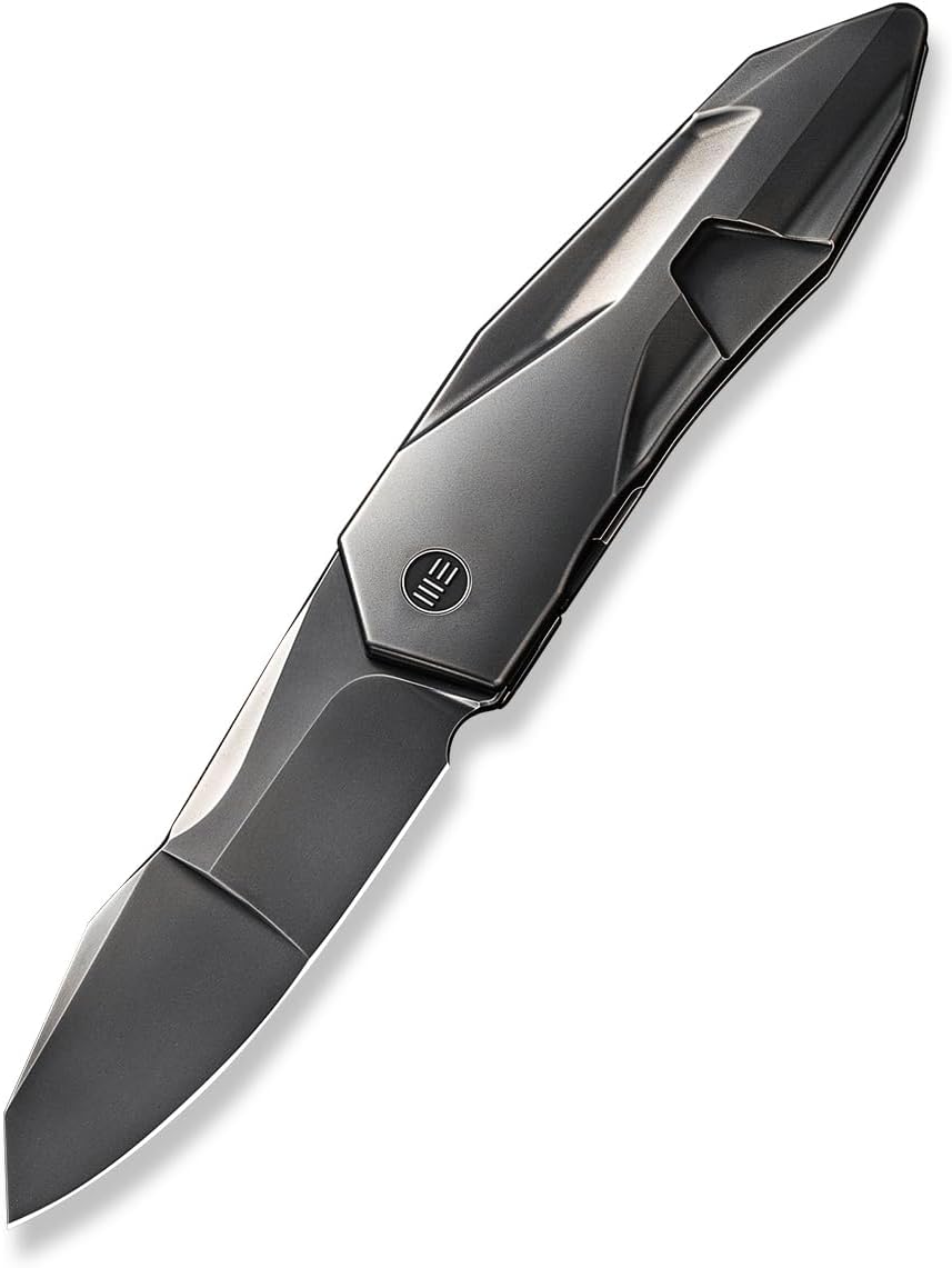WE Knives Solid 22028-6 Frame Lock Gray Titanium Gray CPM-20CV Stainless Steel Pocket Knife