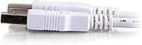 Cables To Go 13401 USB 2.0 A Male to B Male Cable, White (15 Feet)