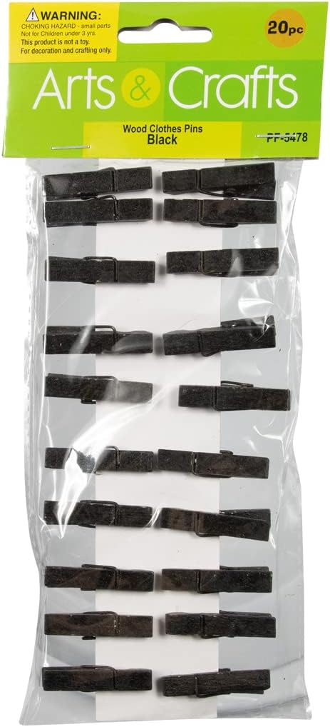 JAM PAPER Mailing Labels & Wood Clothing Pin Clips