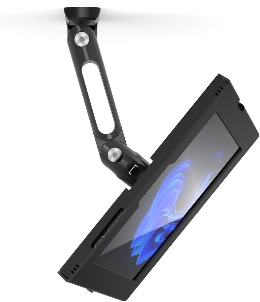 COMPULOCKS Apex Enclosure Swing Wall Mount Black for Surface