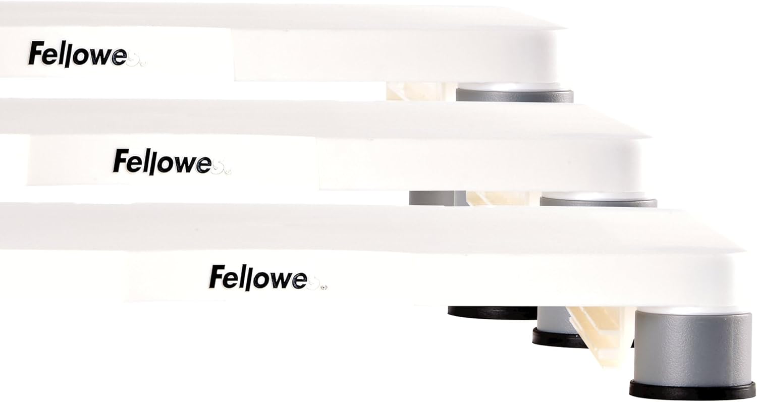 Fellowes Standard Monitor Riser (91712), Platinum/Graphite 1 Count (Pack of 1)