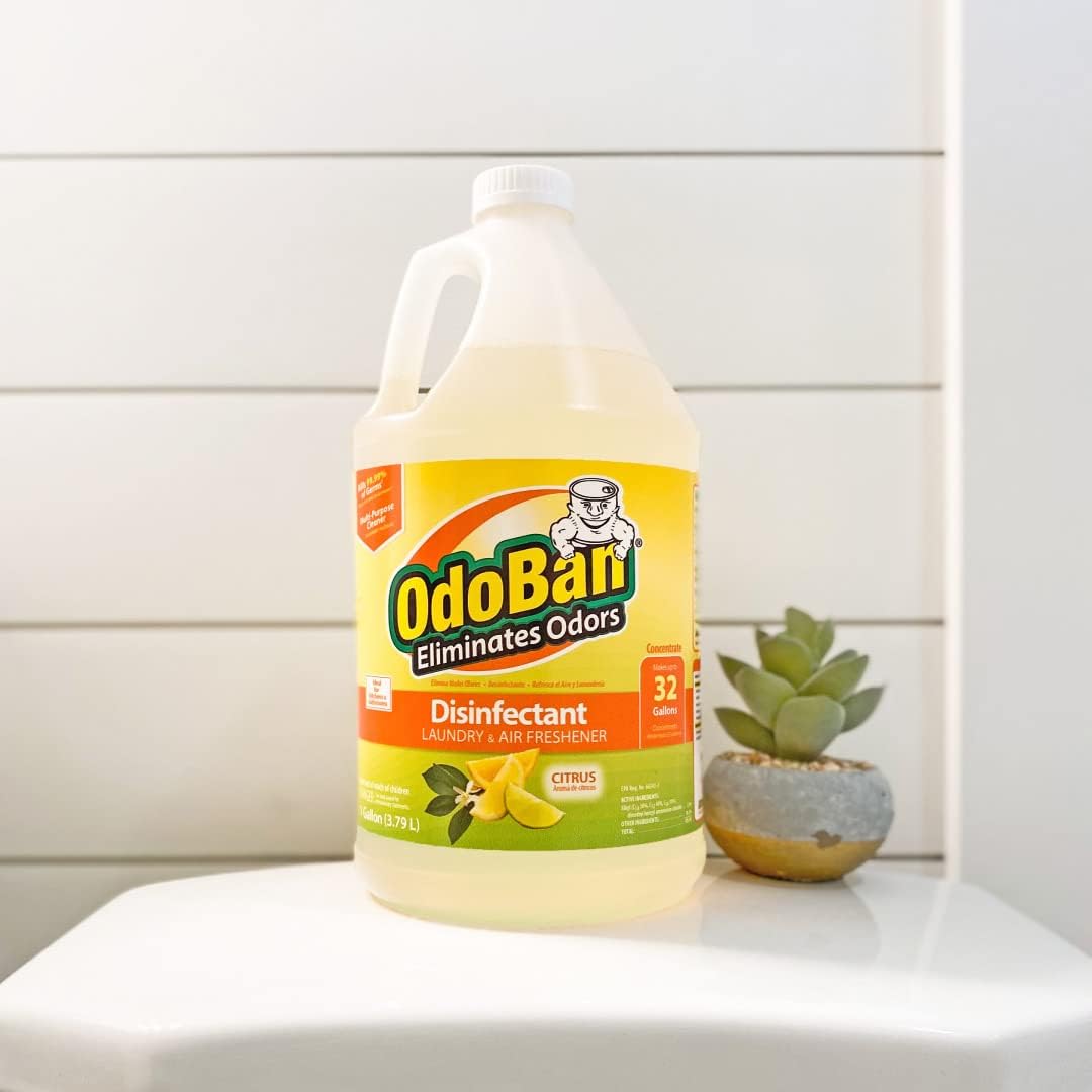 OdoBan Disinfectant Concentrate and Odor Eliminator, 1 Gallon, Citrus Scent 1 Count (Pack of 1)