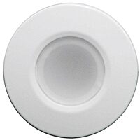 LUMITEC Orbit Flush Mount LED Down Light